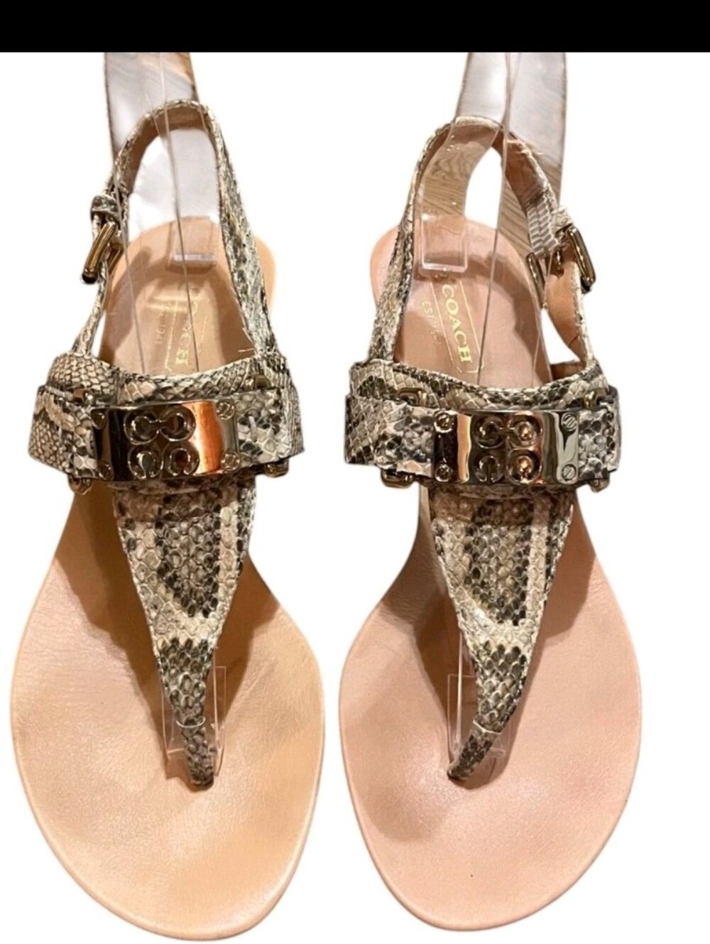 Coach Snake-Print Wedge Sandals in Neutral Tones